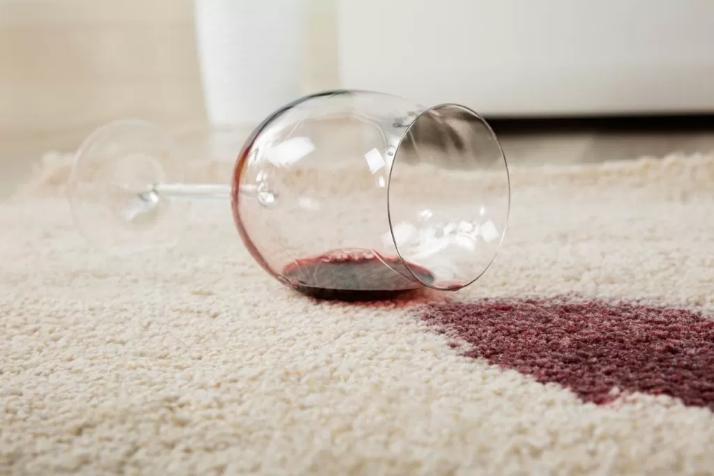 Carpet Cleaning Aftercare – What to do After Carpet Cleaning?