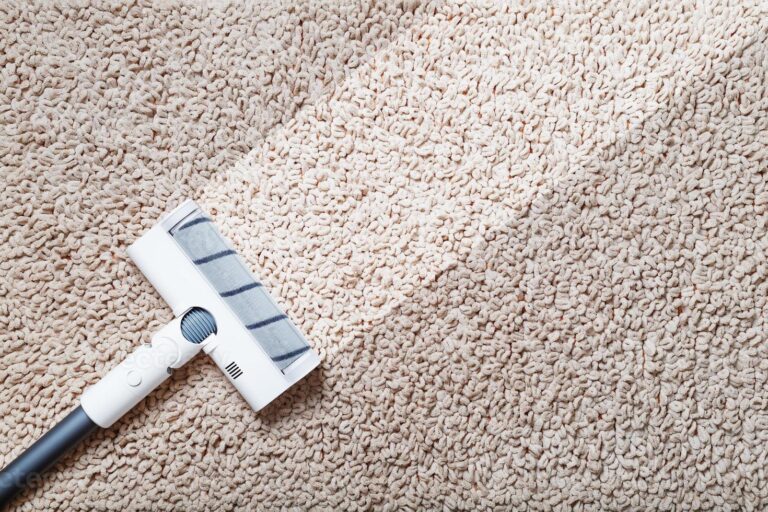 Importance of Carpet Cleaning Blog