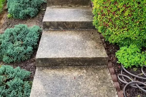 Concrete Sidewalk Cleaning | Before Pressure Wash | Pikesville MD